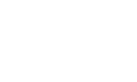 Svaha Bali Logo